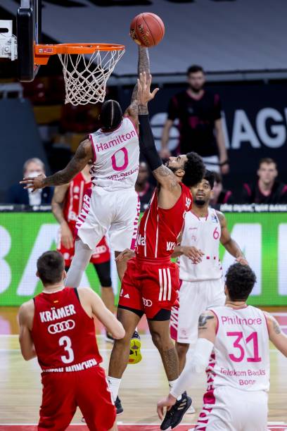 数观众与粉 数观众与粉